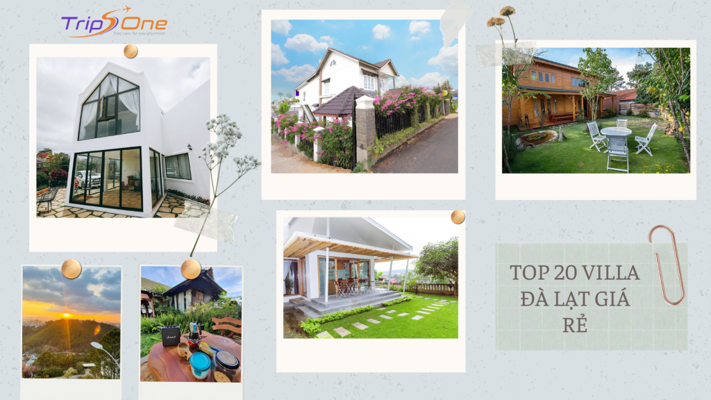 Villa Đà Lạt Trips One