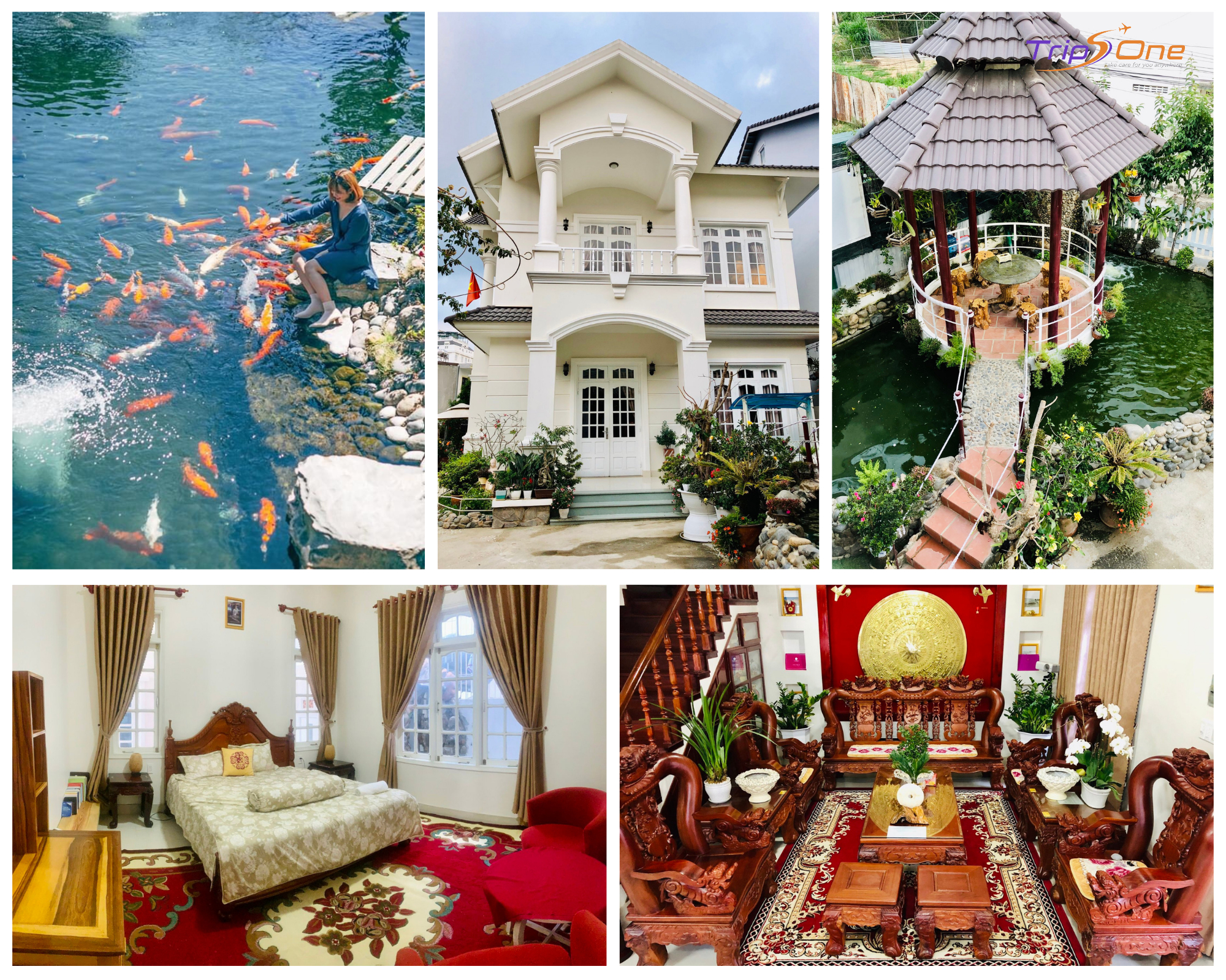 Villa Đà Lạt Trips One