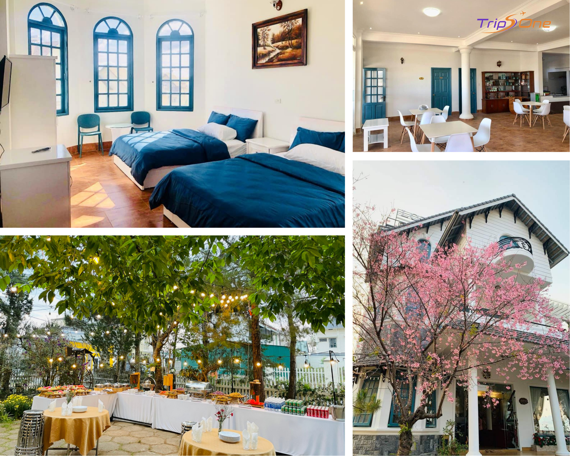 Villa Đà Lạt Trips One