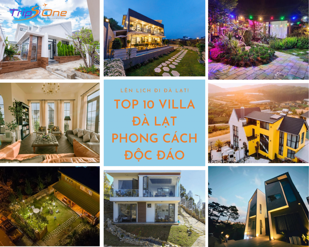 Villa Đà Lạt Trips One