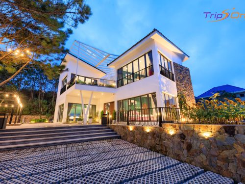 Villa Đà Lạt Trips One 03