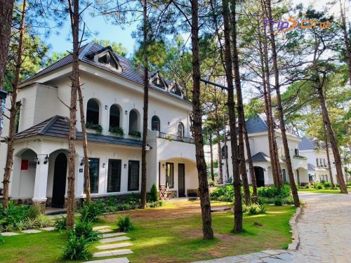 Villa Đà Lạt Trips One 12