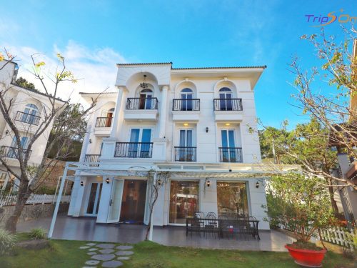 Villa Đà Lạt Trips One 46