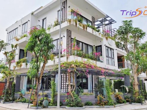 Villa Sầm Sơn Trips One 12