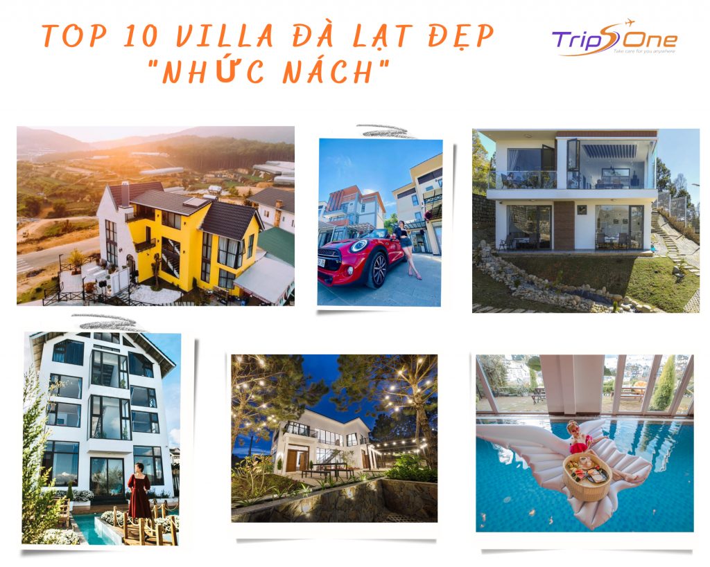 Villa Đà Lạt Trips One