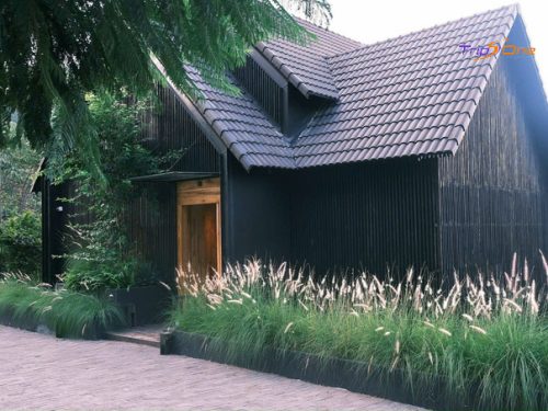 Villa Đà Lạt Trips One 92