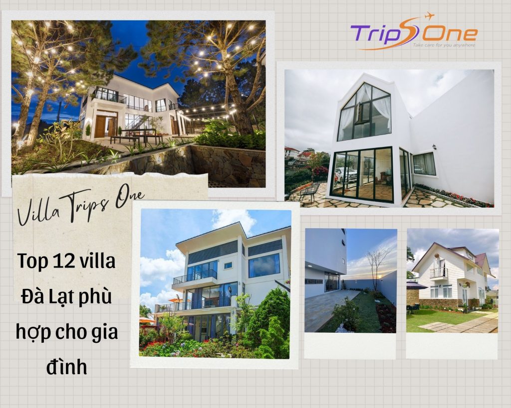 Villa Đà Lạt Trips One