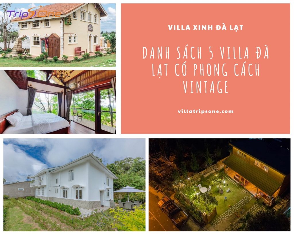 Villa Đà Lạt Trips One