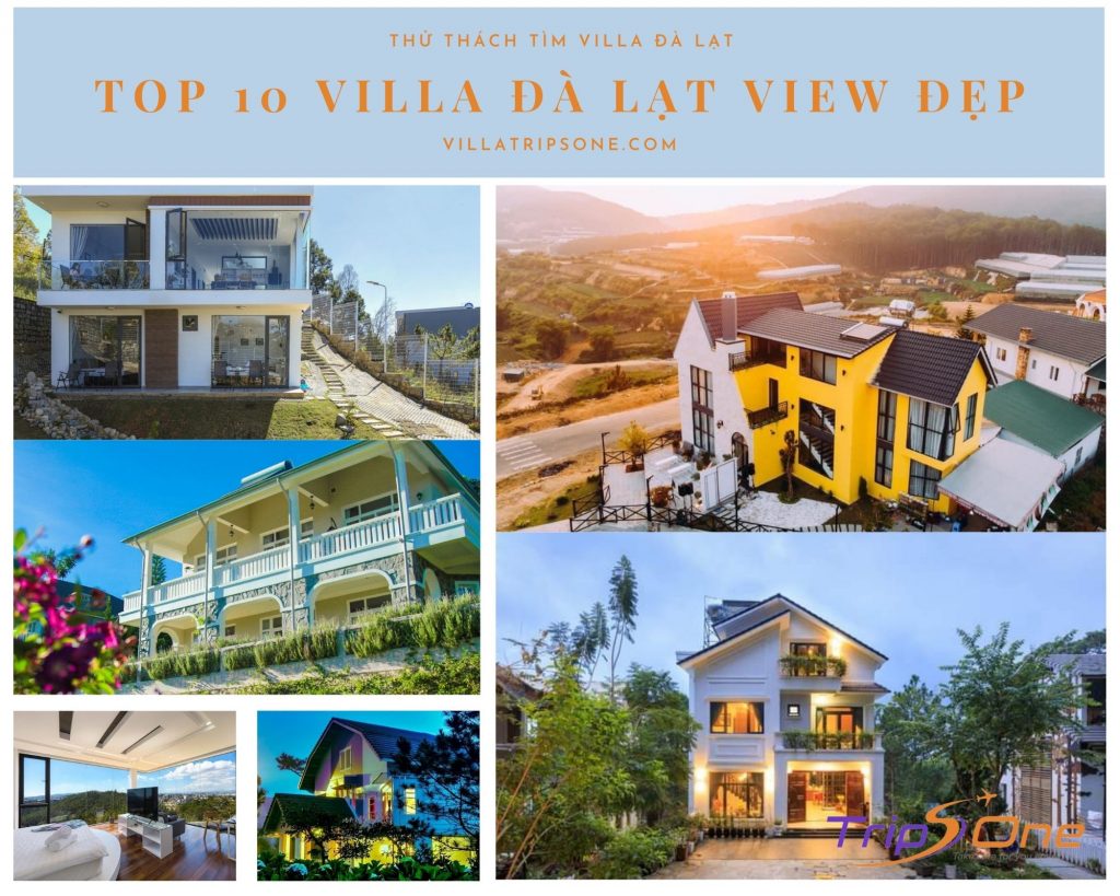 Villa Đà Lạt Trips One