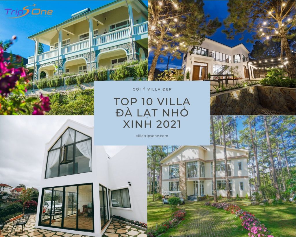 Villa Đà Lạt Trips One