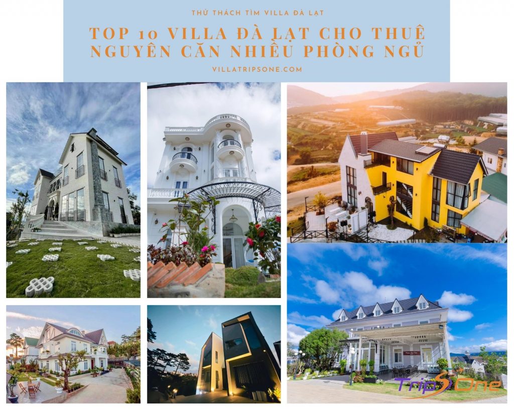 Villa Đà Lạt Trips One