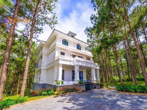 VILLA ĐÀ LẠT TRIPS ONE 150