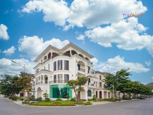 Villa Hạ Long